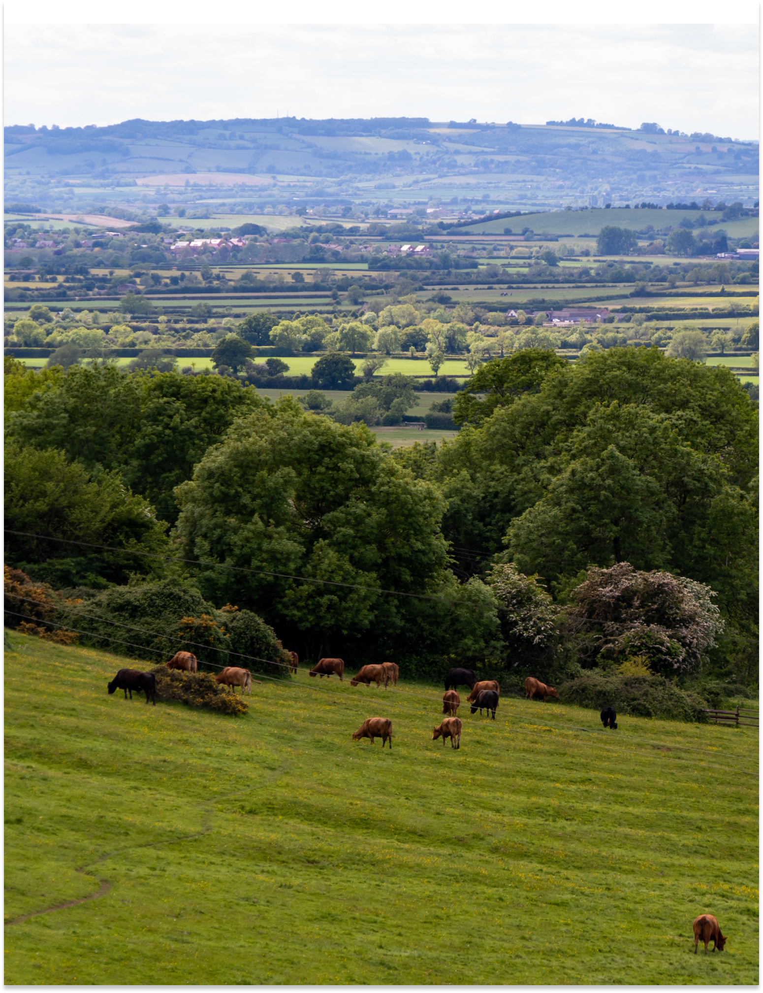 Inner Desktop Banner