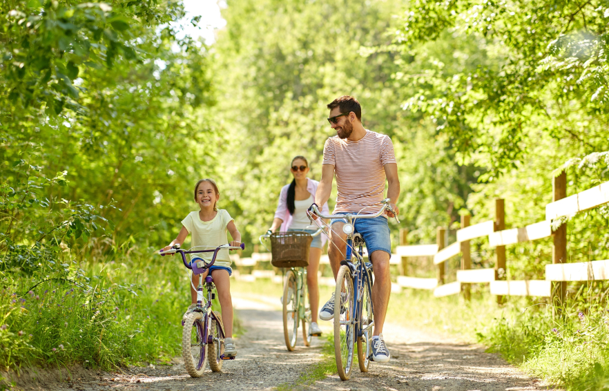 Carousel Desktop TTD Families