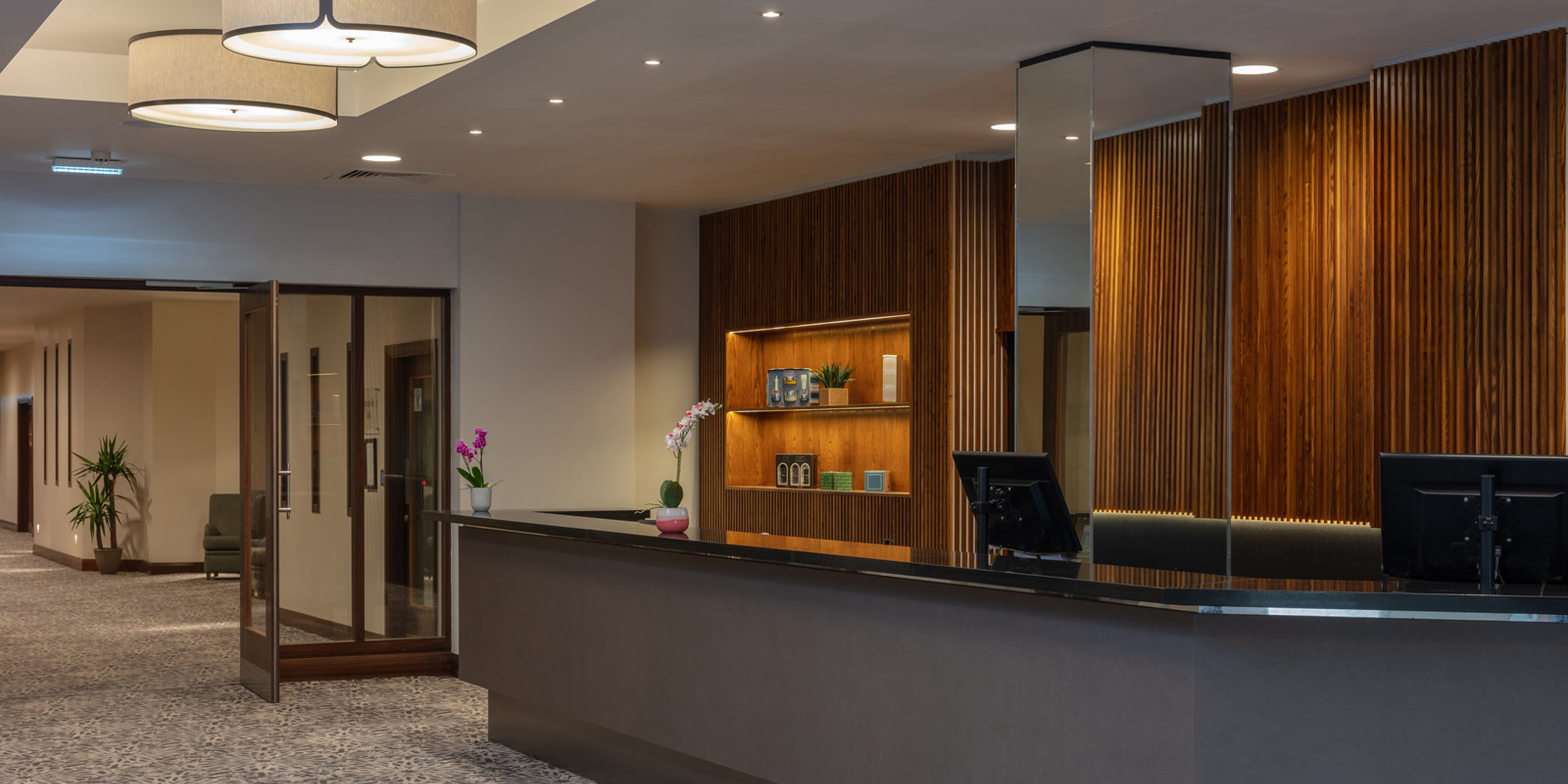 Tripadvisortestimonial Desktop