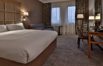 Deluxe Family Carousel 1