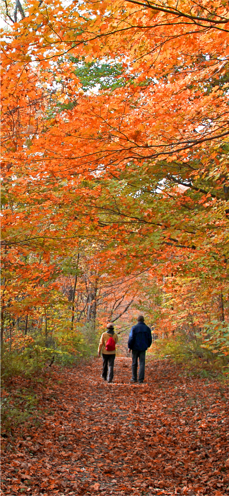 Inner Desktop Banner 4