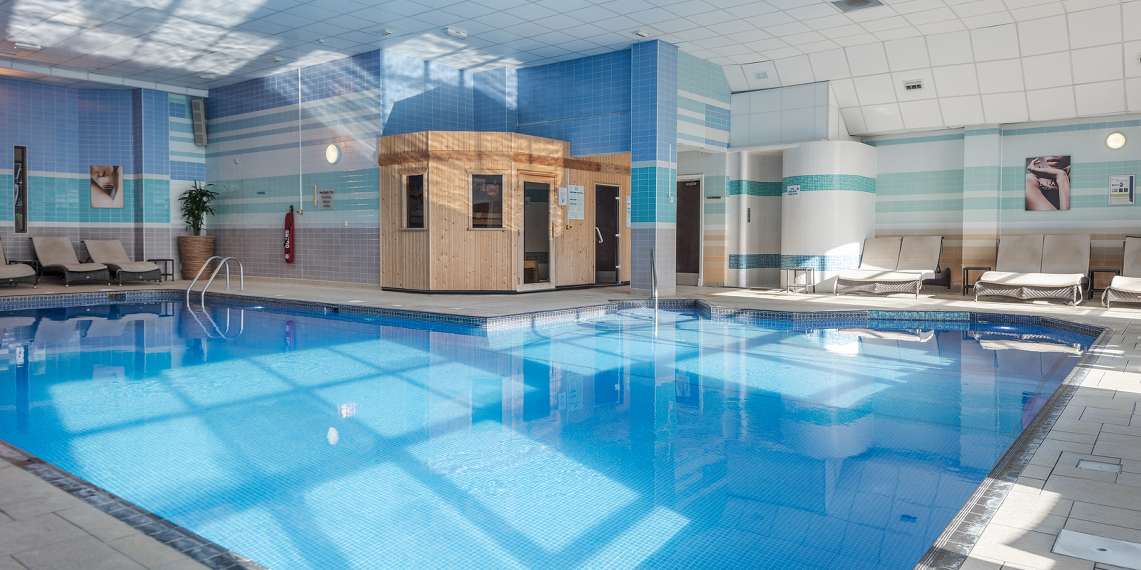 Tripadvisortestimonial Desktop