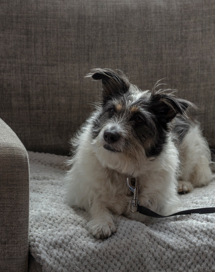 Crosssell Desktop Policy